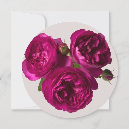 Donkerroze rozen rozen roantic sparen de datum van kaart (Achterkant)