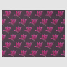 Donkerroze Tulp