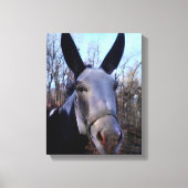 Donkerschilderen Canvas Afdruk (Voorkant)