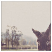 Donkervoer Stof (Close Up)