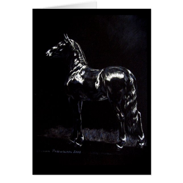 Donkerzilver (Voorkant)