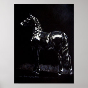 Donkerzilver Poster