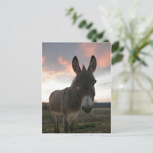 Donkey Art Briefkaart (Staand voorkant)