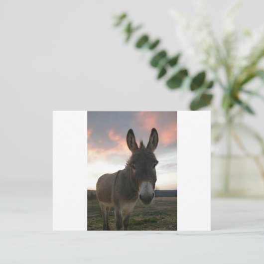 Donkey Art Briefkaart (Staand voorkant)