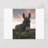 Donkey Art Briefkaart (Voorkant)
