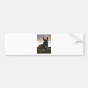 Donkey Art Bumpersticker