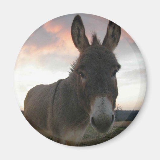Donkey Art Magneet (Voorkant)