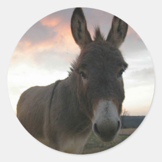 Donkey Art Ronde Sticker