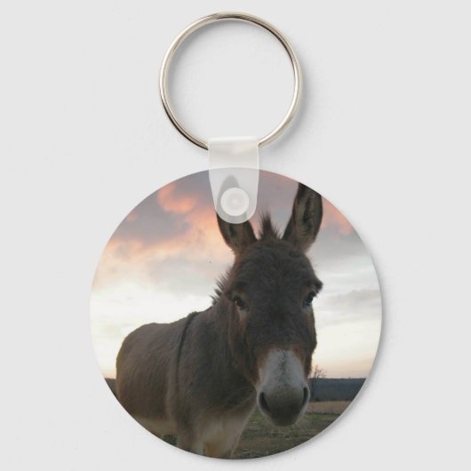Donkey Art Sleutelhanger (Voorkant)