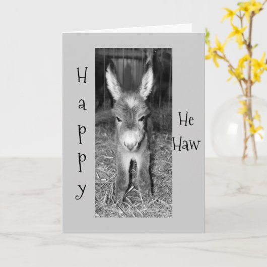 DONKEY BABY ZEGT DAT HIJ 'HAW' BIRTHDAAG VOOR U HE KAART (Gele Bloem)