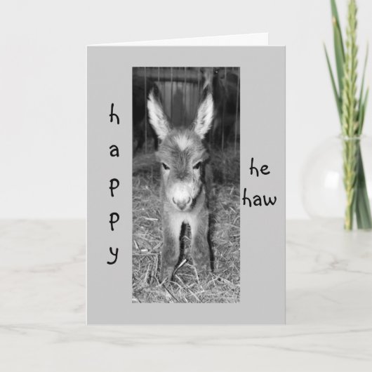 DONKEY BABY ZEGT HAPPY "HIJ HAW" BIRTHDAAG VOOR U KAART (Voorkant)