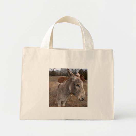Donkey Bag Mini Tote Bag (Voorkant)