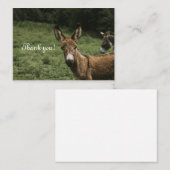 Donkey bedankje notitiekaartje (Voorkant / Achterkant)