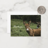 Donkey bedankje notitiekaartje (Voorkant / Achterkant in situ)