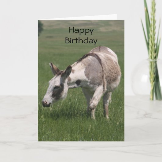 Donkey Birthday Kaart (Voorkant)