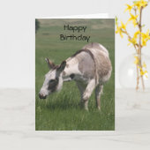 Donkey Birthday Kaart (Gele Bloem)