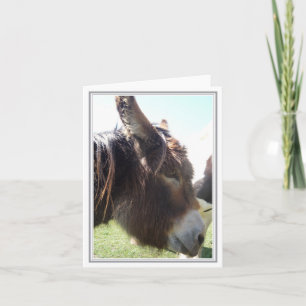 Donkey Blank Note Kaart