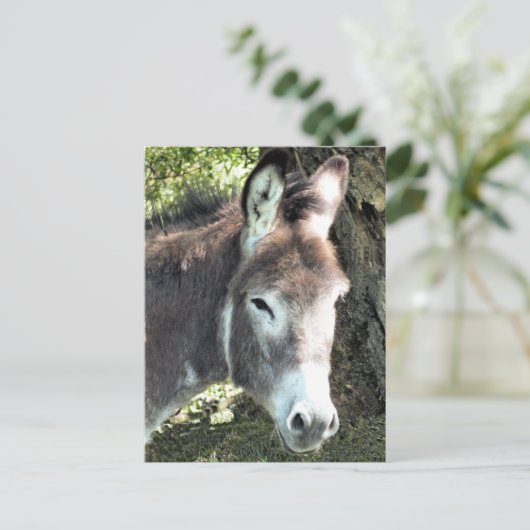 DONKEY BRIEFKAART (Staand voorkant)
