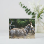 Donkey Briefkaart (Staand voorkant)