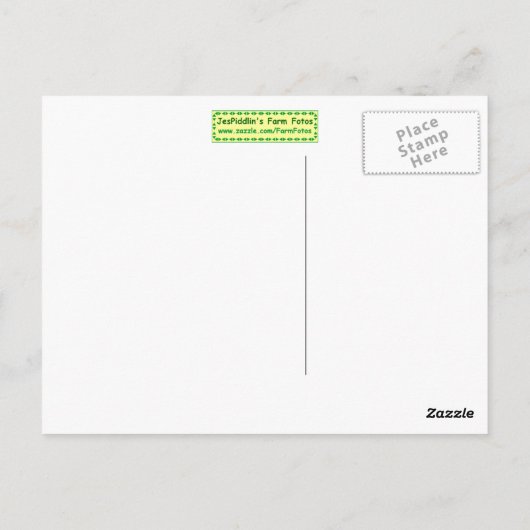 Donkey Briefkaart (Achterkant)