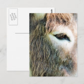DONKEY BRIEFKAART (Voorkant / Achterkant)