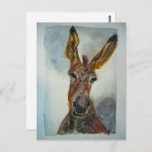 Donkey Briefkaart (Voorkant / Achterkant)