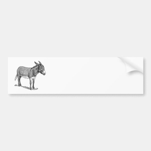 Donkey Bumpersticker (Voorkant)