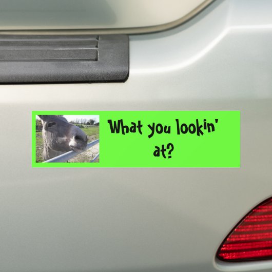 Donkey Bumpersticker (Op auto)