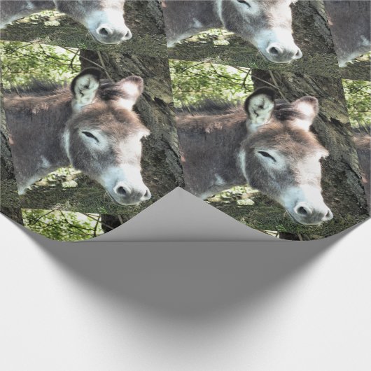 DONKEY CADEAUPAPIER (Hoek)