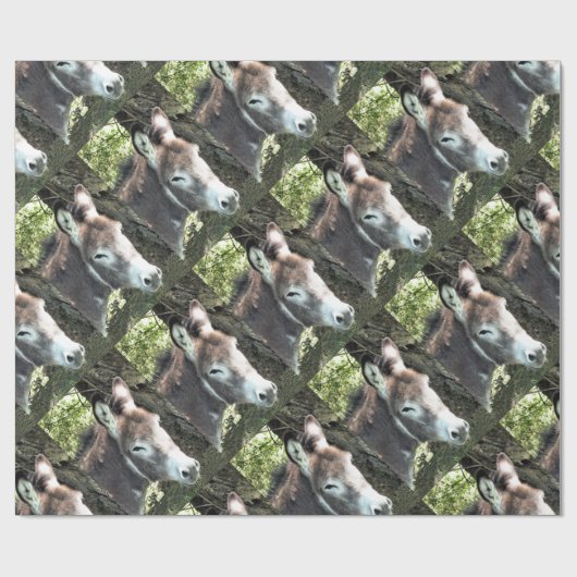 DONKEY CADEAUPAPIER (Vlak)