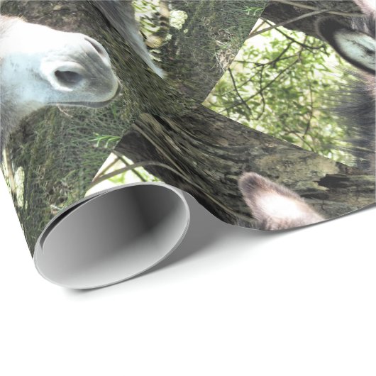 DONKEY CADEAUPAPIER (Rol Hoek)