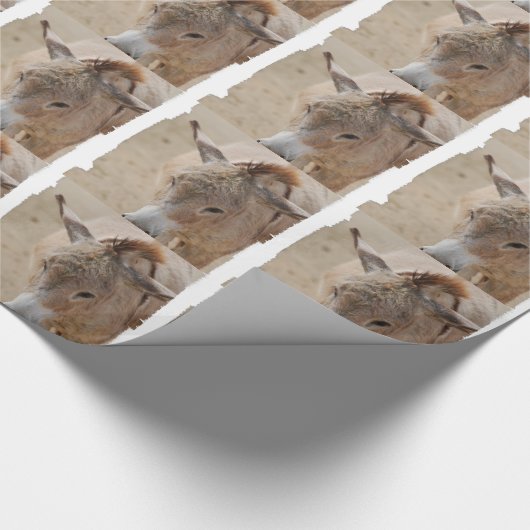 Donkey Cadeaupapier (Hoek)