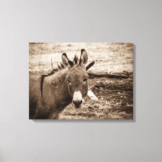 Donkey Canvas Afdruk (Voorkant)