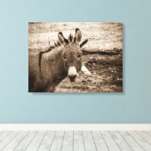 Donkey Canvas Afdruk (Insitu (Houten vloer))