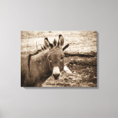 Donkey Canvas Afdruk (Voorkant)