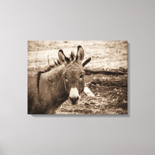 Donkey Canvas Afdruk (Voorkant)