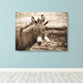 Donkey Canvas Afdruk (Insitu (Houten vloer))