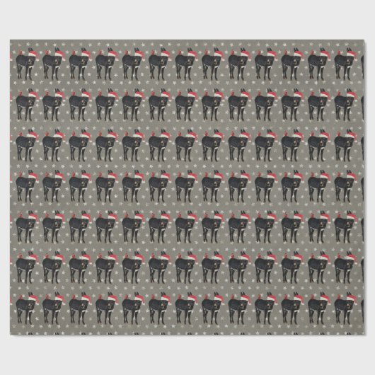 DONKEY & CARDINAL Wrapppapier Cadeaupapier (Vlak)