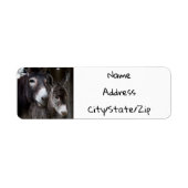 ***DONKEY COUPLE*** RETURADRES ETIKET (Voorkant)