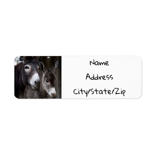 ***DONKEY COUPLE*** RETURADRES ETIKET (Voorkant)