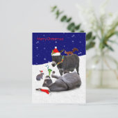 Donkey Daze Briefkaart (Staand voorkant)