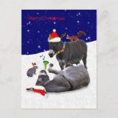 Donkey Daze Briefkaart (Voorkant)