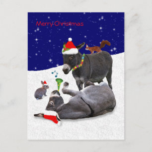 Donkey Daze Briefkaart