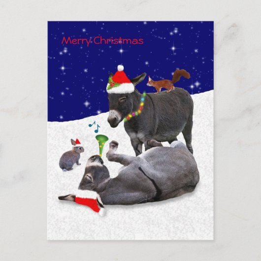 Donkey Daze Briefkaart (Voorkant)