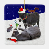 Donkey Daze Ornament (Achterkant)