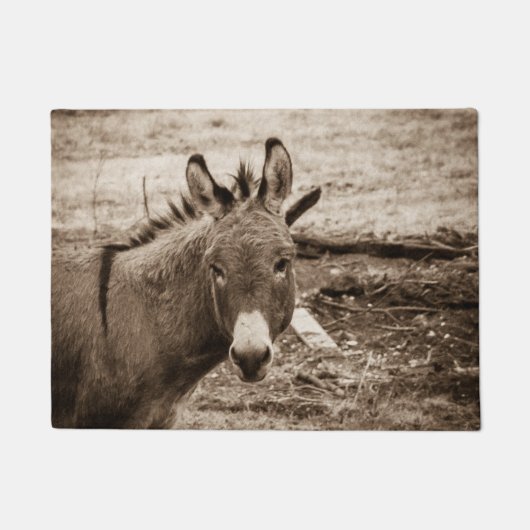 Donkey Deurmat (Voorkant)