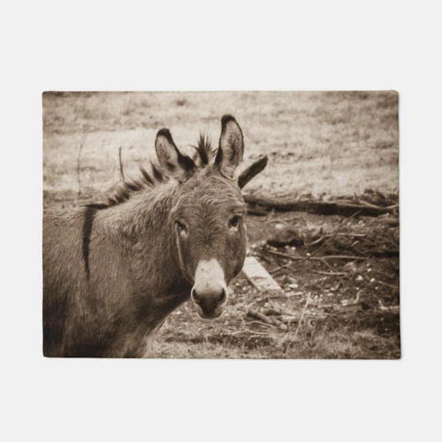 Donkey Deurmat (Voorkant)