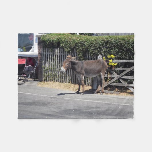 Donkey door de poort fleece deken (Voorkant (Horizontaal))