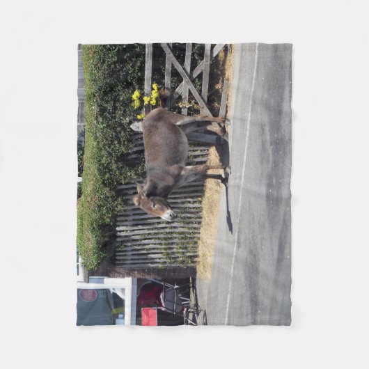 Donkey door de poort fleece deken (Voorkant)