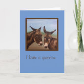 Donkey Double Kaart (Voorkant)